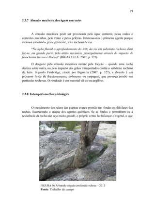 29
2.3.7 Abrasão mecânica das águas correntes
A abrasão mecânica pode ser provocada pela água corrente, pelas ondas e
correntes marinhas, pelo vento e pelas geleiras. Interessa-nos o primeiro agente porque
estamos estudando, principalmente, leito rochoso de rio.
“Na ação fluvial o aprofundamento do leito do rio em substrato rochoso duro
faz-se, em grande parte, pelo atrito mecânico, principalmente através do impacto de
fenoclastos (seixos e blocos)” (BIGARELLA: 2007, p. 327).
O desgaste pela abrasão mecânica ocorre pela fricção – quando uma rocha
desliza sobre outra, ou pelo impacto dos grãos transportados contra o substrato rochoso
do leito. Segundo Fairbridge, citado por Bigarella (2007, p. 327), a abrasão é um
processo físico de friccionamento, polimento ou raspagem, que provoca erosão nas
partículas rochosas. O resultado é um material síltico ou argiloso.
2.3.8 Intemperismo físico-biológico
O crescimento das raízes das plantas exerce pressão nas fendas ou diáclases das
rochas, favorecendo o ataque dos agentes químicos. Se as fendas o permitirem ou a
resistência da rocha não seja muito grande, o próprio vento faz balançar o vegetal, o que
FIGURA 06 Arboredo situado em fenda rochosa – 2012
Fonte: Trabalho de campo
 