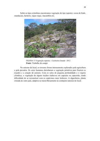 39
Sobre as lajes cristalinas encontramos vegetação do tipo rupestre: coroa de frade,
mandacaru, facheiro, xique-xique, macambira etc.
FIGURA 13 Vegetação rupestre – Cachoeira Grande –2012
Fonte: Trabalho de campo
No entorno do local, os terrenos foram intensamente explorados pela agricultura
e pela pecuária. Os seres humanos derrubaram a vegetação primitiva para fixarem os
roçados e a criação de animais. Com os solos de pequena profundidade e o regime
climático, a vegetação de alguns trechos traduz-se em capoeira ou capoeirão, tendo
dificuldade de se reconstituir com os espécimes mais lenhosos. A algarobeira, planta
oriunda de outro país, adaptou-se maravilhosamente às condições naturais do local.
 