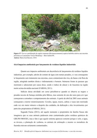 45
Bezerra, M.J. Identificação de Impactos Ambientais nas escarpas da Borborema: o caso das encostas...
Figura 17: Ver-se a proliferação da espécie mamona (Ricinnuscommunis) espécie heliófita seletiva nas encostas
próximas ao Loteamento Tereza Mendonça – Belo Jardim-PE.
Autora: Maria José Bezerra. 2010.
4.6.6 Impactos ambientais por lançamento de resíduos líquidos industriais
Quanto aos impactos ambientais em decorrência de lançamentos de resíduos líquidos
industriais, por exemplo, advém do contato de água com metais pesados, e o seu consequente
te lançamento sem tratamento nas encostas, esses contaminam dos rios, da fauna e da flora da
região, atingindo também direta e indiretamente o homem. Inúmeras foram às pessoas que
morreram e adoeceram por causa disso, sendo o índice de câncer e de leucemia na região
muito acima da média nacional (FARIAS, 2011).
Indícios dessa atividade em curso percebem-se quando se observa as negras e
pesadas nuvens de fumaça emitidas pela fábrica, mas somente de uns dez anos para cá é que
começaram a estranhar o comportamento dos animais. A partir de abril de 2001 esses animais
começaram a morrer misteriosamente. Cavalos, éguas, touros, cabras e vacas iam morrendo
cada vez em maior número a despeito dos cuidados, da dedicação e dos investimentos por
parte dos proprietários (FARIAS, 2011).
Segundo Farias (2011), até aquele momento o proprietário da família Souza não
imaginava que os seus animais pudessem estar contaminados pelos resíduos químicos do
GRUPO MOURA, mas o fato é que aquele sintoma apareceu somente porque o solo, a água,
as árvores, a plantação de verduras, os animais de estimação e mesmo os moradores da
fazenda estavam seriamente contaminados.
 