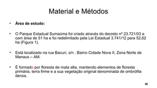 Material e Métodos
• Área de estudo:
• O Parque Estadual Sumaúma foi criado através do decreto nº 23.721/03 e
com área de 51 ha e foi redelimitado pela Lei Estadual 3.741/12 para 52,62
ha (Figura 1).
• Está localizado na rua Bacurí, s/n , Bairro Cidade Nova II, Zona Norte de
Manaus – AM.
• É formado por floresta de mata alta, mantendo elementos de floresta
primária, terra firme e a sua vegetação original denominada de ombrófila
densa.
 