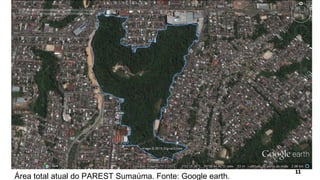 Área total atual do PAREST Sumaúma. Fonte: Google earth.
 