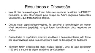 Resultados e Discussão
• Nos 12 dias de amostragem foram feitas seis capturas de ofídios no PAREST
Sumaúma, e três observações pela equipe de AAV’s (Agentes Ambientais
Voluntários), que trabalham no parque.
• Destas nove capturas/observações, foi possível a identificação ao menor
nível taxonômico (espécie), no qual foram identificados cinco espécies de
ofídios.
• Quase todos os espécimes estavam saudáveis e bem alimentados, não fosse
por três indivíduos, uma Boa constrictor e duas de Mastigodryas boddaerti.
• Também foram encontradas duas mudas (ecdise), uma de Boa constrictor
(150 cm) e a outra de algum espécime de Colubridae.
 