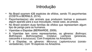 Introdução
• No Brasil ocorrem 426 espécies de ofídios, sendo 75 peçonhentas
(COSTA e BÉRNILS, 2014).
• Peçonhentas(os) são animais que produzem toxinas e possuem
algum aparato para a sua inoculação, nesse caso, as presas.
• No Brasil existem duas famílias de ofídios que representam algum
tipo de perigo para os humanos.
• Viperidae e Elapidae (BERNARDE, 2009).
• A Viperidae tem como representantes, os gêneros: Bothrops;
Bothriopsis; Bothrocophias; Crotalus; Lachesis (jararacas,
cascavéis e surucucus). Com 9 espécies na Amazônia.
• E a Elapidae, os gêneros: Micrurus; Leptomicrurus (corais-
verdadeiras). Com 18 espécies na Amazônia.
 