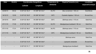 Data Horário Coordenadas Geográficas Temperatura do
Ambiente
Espécie/Tamanho (cm) Localidade
espacial/Condição
Latitude Longitude
03/09/15 09:02 S 03º 02’ 05.3” W 059º 58’ 54.4” 34.2ºC Boa constrictor / 150 cm Solo/Morta
16/10/15 12:00 S 03º 02’ 05.8” W 059º 58’ 56.6” 34ºC Oxybelis fulgidus / 135 cm Árvore/Viva
24/10/15 09:57 S 03º 02’ 08.4” W 059º 58’ 46.5” 30°C Bothrops atrox / 110 cm Solo/Viva
07/11/15 17:05 S 03º 02’ 06.0” W 059º 58’ 58.3” 34.5ºC Mastigodryas boddaerti / 90 cm Solo/Viva
07/11/15 17:31 S 03º 02’ 06.0” W 059º 58’ 58.3” 34.5ºC Bothrops atrox / 110 cm Solo/Viva
21/11/15 12:00 S 03º 02’ 05.7” W 059º 58’ 54.4” 34ºC Mastigodryas boddaerti / 65 cm Solo/Morta
- - S 03º 01’ 59.9” W 059º 58’ 47.3” - Bothrops atrox Solo/Viva
- - S 03º 02’ 01.8” W 059º 58’ 59.9” - Leptophis ahaetulla Árvore/Viva
- - S 03º 02’ 01.1” W 059º 59’ 00.1” - Mastigodryas boddaerti Solo/Viva
 