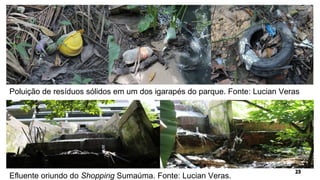 Efluente oriundo do Shopping Sumaúma. Fonte: Lucian Veras.
Poluição de resíduos sólidos em um dos igarapés do parque. Fonte: Lucian Veras
 