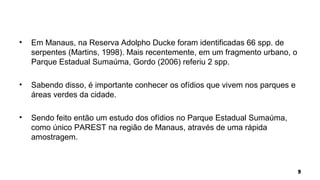 • Em Manaus, na Reserva Adolpho Ducke foram identificadas 66 spp. de
serpentes (Martins, 1998). Mais recentemente, em um fragmento urbano, o
Parque Estadual Sumaúma, Gordo (2006) referiu 2 spp.
• Sabendo disso, é importante conhecer os ofídios que vivem nos parques e
áreas verdes da cidade.
• Sendo feito então um estudo dos ofídios no Parque Estadual Sumaúma,
como único PAREST na região de Manaus, através de uma rápida
amostragem.
 