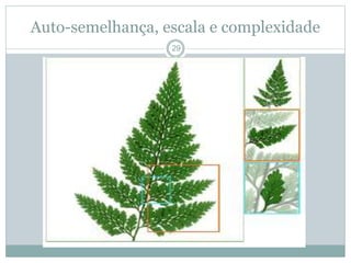 Auto-semelhança, escala e complexidade 
29 
 