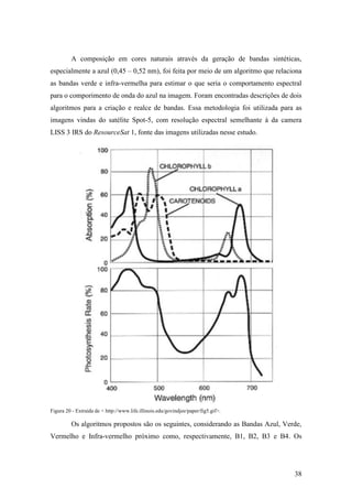 A composição em cores naturais através da geração de bandas sintéticas,
especialmente a azul (0,45 – 0,52 nm), foi feita por meio de um algoritmo que relaciona
as bandas verde e infra-vermelha para estimar o que seria o comportamento espectral
para o comporimento de onda do azul na imagem. Foram encontradas descrições de dois
algoritmos para a criação e realce de bandas. Essa metodologia foi utilizada para as
imagens vindas do satélite Spot-5, com resolução espectral semelhante à da camera
LISS 3 IRS do ResourceSat 1, fonte das imagens utilizadas nesse estudo.




Figura 20 - Extraída de < http://www.life.illinois.edu/govindjee/paper/fig5.gif>.

         Os algoritmos propostos são os seguintes, considerando as Bandas Azul, Verde,
Vermelho e Infra-vermelho próximo como, respectivamente, B1, B2, B3 e B4. Os




                                                                                    38
 