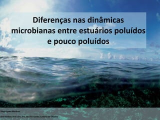 Diferenças nas dinâmicas 
           microbianas entre estuários poluídos 
                    e pouco poluídos




Diego Igawa Mar;nez

Orientadora: Prof. Dra. Ana Júlia Fernandes Cardoso de Oliveira
 