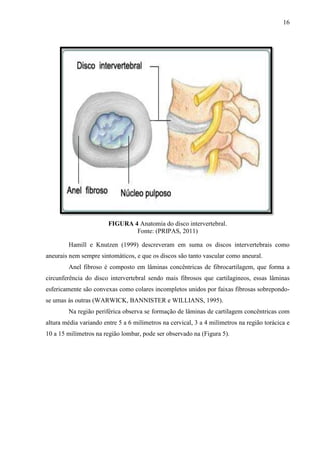 16

FIGURA 4 Anatomia do disco intervertebral.
Fonte: (PRIPAS, 2011)
Hamill e Knutzen (1999) descreveram em suma os discos intervertebrais como
aneurais nem sempre sintomáticos, e que os discos são tanto vascular como aneural.
Anel fibroso é composto em lâminas concêntricas de fibrocartilagem, que forma a
circunferência do disco intervertebral sendo mais fibrosos que cartilagineos, essas lâminas
esfericamente são convexas como colares incompletos unidos por faixas fibrosas sobrepondose umas às outras (WARWICK, BANNISTER e WILLIANS, 1995).
Na região periférica observa se formação de lâminas de cartilagem concêntricas com
altura média variando entre 5 a 6 milímetros na cervical, 3 a 4 milímetros na região torácica e
10 a 15 milímetros na região lombar, pode ser observado na (Figura 5).

 