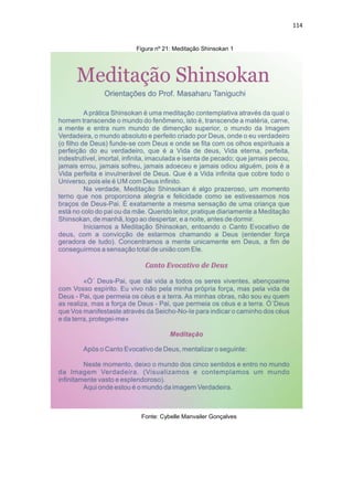 114
Figura nº 21: Meditação Shinsokan 1
Fonte: Cybelle Manvailer Gonçalves
 