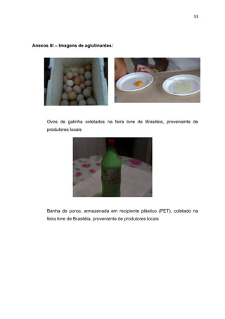 33




Anexos III – Imagens de aglutinantes:




      Ovos de galinha coletados na feira livre de Brasiléia, proveniente de
      produtores locais




      Banha de porco, armazenada em recipiente plástico (PET), coletado na
      feira livre de Brasiléia, proveniente de produtores locais
 