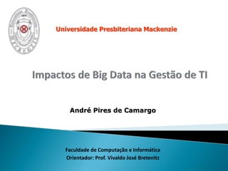 André Pires de Camargo
Faculdade de Computação e Informática
Orientador: Prof. Vivaldo José Bretenitz
Universidade Presbiteriana Mackenzie
 