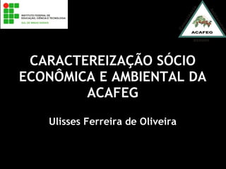 CARACTEREIZAÇÃO SÓCIO ECONÔMICA E AMBIENTAL DA ACAFEG Ulisses Ferreira de Oliveira 