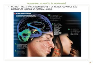 Aromaterapia... um caminho de transformação!
14
 OLFATO – AGE A NÍVEL SUBCONSCIENTE - OS NERVOS OLFATIVOS SÃO
DIRETAMENTE LIGADOS AO SISTEMA LÍMBICO
 