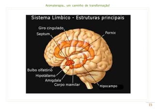 Aromaterapia... um caminho de transformação!
15
 