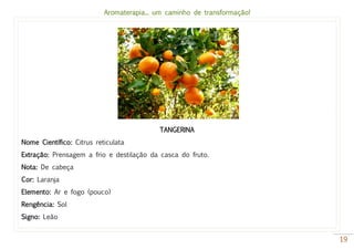 Aromaterapia... um caminho de transformação!
19
TANGERINA
Nome Científico: Citrus reticulata
Extração: Prensagem a frio e destilação da casca do fruto.
Nota: De cabeça
Cor: Laranja
Elemento: Ar e fogo (pouco)
Rengência: Sol
Signo: Leão
 