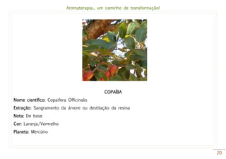 Aromaterapia... um caminho de transformação!
20
COPAÍBA
Nome científico: Copaifera Officinalis
Extração: Sangramento da árvore ou destilação da resina
Nota: De base
Cor: Laranja/Vermelho
Planeta: Mercúrio
 