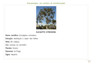Aromaterapia... um caminho de transformação!
21
EUCALIPTO CITRIODORA
Nome científico: Eucalyptus citriodora
Extração: destilação a vapor das folhas
Nota: De cabeça.
Cor: Laranja ao vermelho
Planeta: Uranio
Elemento: Ar/Fogo
Signo: Aquário
 