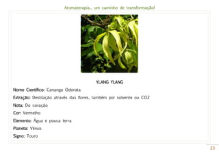 Aromaterapia... um caminho de transformação!
23
YLANG YLANG
Nome Científico: Cananga Odorata
Extração: Destilação através das flores, também por solvente ou CO2
Nota: Do coração
Cor: Vermelho
Elemento: Água e pouca terra
Planeta: Vênus
Signo: Touro
 