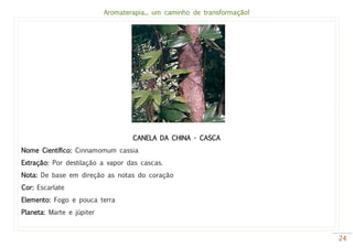 Aromaterapia... um caminho de transformação!
24
CANELA DA CHINA - CASCA
Nome Científico: Cinnamomum cassia
Extração: Por destilação a vapor das cascas.
Nota: De base em direção as notas do coração
Cor: Escarlate
Elemento: Fogo e pouca terra
Planeta: Marte e júpiter
 
