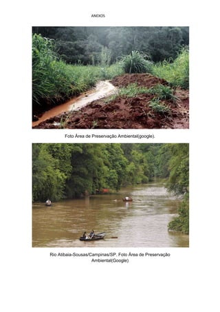 ANEXOS




       Foto Área de Preservação Ambiental(google).




Rio Atibaia-Sousas/Campinas/SP. Foto Área de Preservação
                    Ambiental(Google)
 