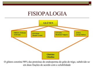 FISIOPALOGIA
GLÚTEN

TRIGO (Triticum
Aestivum)

CEVADA
Hordeum Vulgare)

CENTEIO
(Secale Cevale)

AVEIA
(Avena Sativa)

Gluteina
Gliadina

O glúten constitui 90% das proteínas do endosperma do grão de trigo, subdivide-se
em duas frações de acordo com a solubilidade

 