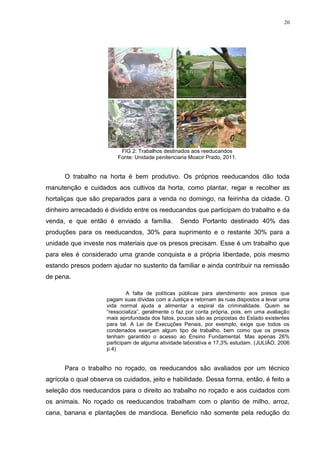 20




                          FIG 2: Trabalhos destinados aos reeducandos
                         Fonte: Unidade penitenciaria Moacir Prado, 2011.


      O trabalho na horta é bem produtivo. Os próprios reeducandos dão toda
manutenção e cuidados aos cultivos da horta, como plantar, regar e recolher as
hortaliças que são preparados para a venda no domingo, na feirinha da cidade. O
dinheiro arrecadado é dividido entre os reeducandos que participam do trabalho e da
venda, e que então é enviado a família.           Sendo Portanto destinado 40% das
produções para os reeducandos, 30% para suprimento e o restante 30% para a
unidade que investe nos materiais que os presos precisam. Esse é um trabalho que
para eles é considerado uma grande conquista e a própria liberdade, pois mesmo
estando presos podem ajudar no sustento da familiar e ainda contribuir na remissão
de pena.

                              A falta de políticas públicas para atendimento aos presos que
                     pagam suas dívidas com a Justiça e retornam às ruas dispostos a levar uma
                     vida normal ajuda a alimentar a espiral da criminalidade. Quem se
                     ―ressocializa‖, geralmente o faz por conta própria, pois, em uma avaliação
                     mais aprofundada dos fatos, poucas são as propostas do Estado existentes
                     para tal. A Lei de Execuções Penais, por exemplo, exige que todos os
                     condenados exerçam algum tipo de trabalho, bem como que os presos
                     tenham garantido o acesso ao Ensino Fundamental. Mas apenas 26%
                     participam de alguma atividade laborativa e 17,3% estudam. (JULIÃO, 2006
                     p.4)


      Para o trabalho no roçado, os reeducandos são avaliados por um técnico
agrícola o qual observa os cuidados, jeito e habilidade. Dessa forma, então, é feito a
seleção dos reeducandos para o direito ao trabalho no roçado e aos cuidados com
os animais. No roçado os reeducandos trabalham com o plantio de milho, arroz,
cana, banana e plantações de mandioca. Beneficio não somente pela redução do
 