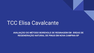 TCC Elisa Cavalcante
AVALIAÇÃO DO MÉTODO BOREHOLE DE RESINAGEM EM ÁREAS DE
REGENERAÇÃO NATURAL DE PINUS EM NOVA CAMPINA-SP
 