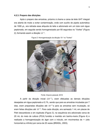 9
4.2.3. Preparo das diluições
Após o preparo das amostras, próximo à chama a caixa de leite UHT integral
era aberta de modo a evitar contaminação, onde com auxílio de pipeta automática
de 1000 µL, era retirada essa alíquota do leite e adicionado em um tubo com água
peptonada, em seguida sendo homogeneizado por 60 segundos no “Vortex” (Figura
2), formando assim a diluição .
Figura 2: Homogeneização da diluição 10-¹ no "Vortex"
Fonte: Arquivo pessoal, 2018
A partir da diluição inicial ( , eram efetuadas as demais diluições
desejadas em água peptonada a 0,1%, sendo que para as amostras incubadas por 7
dias, eram preparadas diluições até e para as amostras sem incubação, só
eram feitas diluições até . Para cada diluição, era semeado 1 mL em placas de
Petri descartáveis e em duplicata (Figura 3), na sequência era adicionado cerca de
20 mL do meio de cultura (PCA) fundido e mantido em banho-maria (Figura 4) e
realizado a homogeneização do ágar com o inóculo, em movimentos de ∞ (oito
horizontal ou infinito) por cerca de 25 vezes (BRASIL, 2003).
 