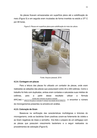 11
As placas ficavam armazenadas em superfície plana até a solidificação do
meio (Figura 5) e em seguida eram incubadas de forma invertida na estufa a 37º C
por 48 horas.
Figura 5: Placas em superfície plana para solidificação do meio de cultura
Fonte: Arquivo pessoal, 2018
4.2.4. Contagem em placas
Para a leitura das placas foi utilizado um contador de placas, onde eram
realizadas as seleções das placas que possuíssem entre 25 e 250 colônias. Como o
trabalho foi feito com duplicatas, ambas eram contadas e calculadas suas médias de
colônias, para a partir desse resultado utilizar a fórmula
e encontrar o número
de microrganismos presentes na amostra em análise.
4.2.5. Coloração de Gram
Baseia-se na verificação das características morfológicas e tintoriais do
microrganismo, onde as bactérias Gram positivas coram-se fortemente de violeta e
as Gram negativas de róseo a vermelho. Era feito o preparo de um esfregaço com
as placas que possuíam crescimento bacteriano e a seguir realizados os
procedimentos de coloração (Figura 6).
 
