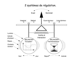 2 systèmes de régulation. 
 