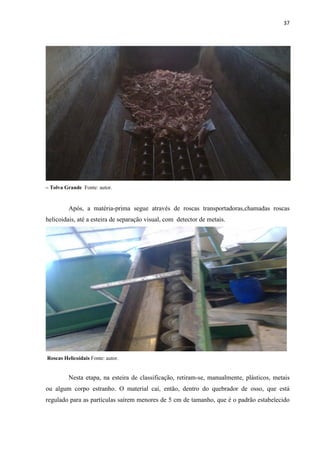 37
– Tolva Grande Fonte: autor.
Após, a matéria-prima segue através de roscas transportadoras,chamadas roscas
helicoidais, até a esteira de separação visual, com detector de metais.
Roscas Helicoidais Fonte: autor.
Nesta etapa, na esteira de classificação, retiram-se, manualmente, plásticos, metais
ou algum corpo estranho. O material cai, então, dentro do quebrador de osso, que está
regulado para as partículas saírem menores de 5 cm de tamanho, que é o padrão estabelecido
 