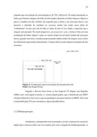 programas transmitidos pela line tv