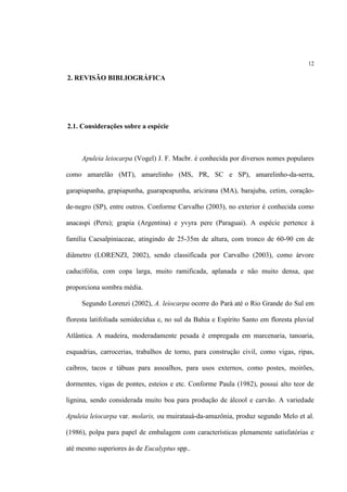 12
2. REVISÃO BIBLIOGRÁFICA
2.1. Considerações sobre a espécie
Apuleia leiocarpa (Vogel) J. F. Macbr. é conhecida por diversos nomes populares
como amarelão (MT), amarelinho (MS, PR, SC e SP), amarelinho-da-serra,
garapiapanha, grapiapunha, guarapeapunha, aricirana (MA), barajuba, cetim, coração-
de-negro (SP), entre outros. Conforme Carvalho (2003), no exterior é conhecida como
anacaspi (Peru); grapia (Argentina) e yvyra pere (Paraguai). A espécie pertence à
família Caesalpiniaceae, atingindo de 25-35m de altura, com tronco de 60-90 cm de
diâmetro (LORENZI, 2002), sendo classificada por Carvalho (2003), como árvore
caducifólia, com copa larga, muito ramificada, aplanada e não muito densa, que
proporciona sombra média.
Segundo Lorenzi (2002), A. leiocarpa ocorre do Pará até o Rio Grande do Sul em
floresta latifoliada semidecídua e, no sul da Bahia e Espírito Santo em floresta pluvial
Atlântica. A madeira, moderadamente pesada é empregada em marcenaria, tanoaria,
esquadrias, carrocerias, trabalhos de torno, para construção civil, como vigas, ripas,
caibros, tacos e tábuas para assoalhos, para usos externos, como postes, moirões,
dormentes, vigas de pontes, esteios e etc. Conforme Paula (1982), possui alto teor de
lignina, sendo considerada muito boa para produção de álcool e carvão. A variedade
Apuleia leiocarpa var. molaris, ou muiratauá-da-amazônia, produz segundo Melo et al.
(1986), polpa para papel de embalagem com características plenamente satisfatórias e
até mesmo superiores às de Eucalyptus spp..
 