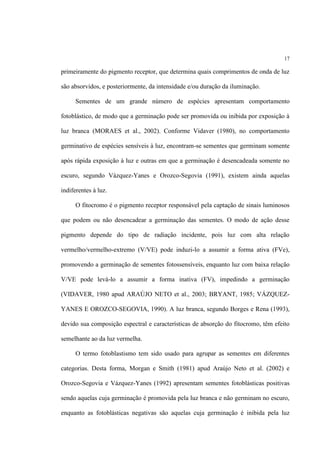 17
primeiramente do pigmento receptor, que determina quais comprimentos de onda de luz
são absorvidos, e posteriormente, da intensidade e/ou duração da iluminação.
Sementes de um grande número de espécies apresentam comportamento
fotoblástico, de modo que a germinação pode ser promovida ou inibida por exposição à
luz branca (MORAES et al., 2002). Conforme Vidaver (1980), no comportamento
germinativo de espécies sensíveis à luz, encontram-se sementes que germinam somente
após rápida exposição à luz e outras em que a germinação é desencadeada somente no
escuro, segundo Vázquez-Yanes e Orozco-Segovia (1991), existem ainda aquelas
indiferentes à luz.
O fitocromo é o pigmento receptor responsável pela captação de sinais luminosos
que podem ou não desencadear a germinação das sementes. O modo de ação desse
pigmento depende do tipo de radiação incidente, pois luz com alta relação
vermelho/vermelho-extremo (V/VE) pode induzi-lo a assumir a forma ativa (FVe),
promovendo a germinação de sementes fotossensíveis, enquanto luz com baixa relação
V/VE pode levá-lo a assumir a forma inativa (FV), impedindo a germinação
(VIDAVER, 1980 apud ARAÚJO NETO et al., 2003; BRYANT, 1985; VÁZQUEZ-
YANES E OROZCO-SEGOVIA, 1990). A luz branca, segundo Borges e Rena (1993),
devido sua composição espectral e características de absorção do fitocromo, têm efeito
semelhante ao da luz vermelha.
O termo fotoblastismo tem sido usado para agrupar as sementes em diferentes
categorias. Desta forma, Morgan e Smith (1981) apud Araújo Neto et al. (2002) e
Orozco-Segovia e Vázquez-Yanes (1992) apresentam sementes fotoblásticas positivas
sendo aquelas cuja germinação é promovida pela luz branca e não germinam no escuro,
enquanto as fotoblásticas negativas são aquelas cuja germinação é inibida pela luz
 