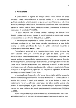 19




       5 PATOGENESE


       É possivelmente o agente de infecção crônica mais comum em seres
humanos, invade designadamente a mucosa gástrica e as microvilosidades
gástricas das células epiteliais e confia-se que coopere absolutamente no extermínio
da célula gástrica por fabricação de uma citotoxina vacuolizante, bem como enzimas
tóxicas, de maneira especial lípase, uréase e proteases, desregulando os fatores de
preservação do epitélio (ALVES, 2012).
       H. pylori mexer-se com facilidade devido à morfologia em espiral e aos
flagelos e, deste modo, cruza a camada de muco, instituindo familiar contato com as
células epiteliais de revestimento (SIQUEIRA et al., 2007).
       A bactéria pode comprometer a camada de muco que cobre o epitélio do
estômago, ocasionando um dano nesta camada, posteriormente a esta lesão
abrange as células produtoras de muco do epitélio estomacal, induzindo a
inflamações (WISNIEWSKI; PEURA, 1997).
       Vários fatores ambientais e do hospedeiro contribuem para a formação da
lesão ulcerada, tanto pelo aumento da produção de ácido, quanto pelo
enfraquecimento da barreira mucosa ou ambos. A manutenção da integridade da
mucosa gástrica contra substâncias agressoras, como o ácido e a pepsina, depende
de fatores protetores, como secreção de bicarbonato, preservação da membrana da
célula apical, regeneração epitelial e fluxo sanguíneo adequado. O Helicobacter
pylori e as drogas anti- inflamatórias não esteróides estão entre os principais fatores
etiológicos da doença ulcerosa péptica por sua comprovada capacidade de interferir
na relação agressão/defesa (COHEN, 2000).
       A associação do Helicobacter pylori com a úlcera péptica gástrica apresenta
mecanismo fisiopatológicos diferentes daqueles identificados na úcera duodenal. A
gastrite associada ao H. pylori, nos pacientes com úlcera gástrica, é difusa ou
predominante no corpo, refletindo a colonização de todo o epitélio gástrico pela
bactéria. A colonização pelo H. pylori é mais evidente na região angular ou transição
corpo-antro, onde a inflamação , atrofia e metaplasia são mais intensas (DIXON et
al., 2006).
       Nesta situação a secreção ácida está reduzida; esta redução será maior com
a instalação atróficas. O risco para úlcera gástrica estará aumentando, mesmo com
 