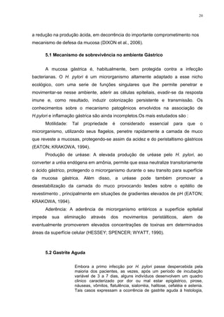 20




a redução na produção ácida, em decorrência do importante comprometimento nos
mecanismo de defesa da mucosa (DIXON et al., 2006).

      5.1 Mecanismo de sobrevivência no ambiente Gástrico


      A mucosa gástrica é, habitualmente, bem protegida contra a infecção
bacterianas. O H. pylori é um microrganismo altamente adaptado a esse nicho
ecológico, com uma serie de funções singulares que lhe permite penetrar e
movimentar-se nesse ambiente, aderir as células epiteliais, evadir-se da resposta
imune e, como resultado, induzir colonização persistente e transmissão. Os
conhecimentos sobre o mecanismo patogênicos envolvidos na associação de
H.pylori e inflamação gástrica são ainda incompletos.Os mais estudados são :
      Motilidade:   Tal    propriedade     é       considerado   essencial     para    que   o
microrganismo, utilizando seus flagelos, penetre rapidamente a camada de muco
que reveste a mucosas, protegendo-se assim da acidez e do peristaltismo gástricos
(EATON; KRAKOWA, 1994).
      Produção de uréase: A elevada produção de uréase pelo H. pylori, ao
converter a uréia endógena em amônia, permite que essa neutralize transitoriamente
o ácido gástrico, protegendo o microrganismo durante o seu transito para superfície
da   mucosa    gástrica.   Além   disso,       a    uréase   pode    também      promover     a
desestabilização da camada do muco provocando lesões sobre o epitélio de
revestimento , principalmente em situações de gradientes elevados de pH (EATON;
KRAKOWA, 1994).
      Aderência: A aderência de microrganismo entéricos a superfície epitelial
impede   sua    eliminação    através      dos      movimentos      peristálticos,    alem   de
eventualmente promoverem elevados concentrações de toxinas em determinados
áreas da superfície celular (HESSEY; SPENCER; WYATT, 1990).



      5.2 Gastrite Aguda


                     Embora a primo infecção por H. pylori passe despercebida pela
                     maioria dos pacientes, as vezes, após um período de incubação
                     variável de 3 a 7 dias, alguns indivíduos desenvolvem um quadro
                     clinico caracterizado por dor ou mal estar epigástrico, pirose,
                     náuseas, vômitos, flatulência, sialorréia, halitose, cefaléia e astenia.
                     Tais casos expressam a ocorrência de gastrite aguda á histologia,
 