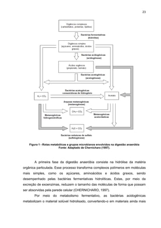 23
Figura 1 - Rotas metabólicas e grupos microbianos envolvidos na digestão anaeróbia
Fonte: Adaptado de Chernicharo (1997).
A primeira fase da digestão anaeróbia consiste na hidrólise da matéria
orgânica particulada. Esse processo transforma complexos polímeros em moléculas
mais simples, como os açúcares, aminoácidos e ácidos graxos, sendo
desempenhado pelas bactérias fermentativas hidrolíticas. Estas, por meio da
excreção de exoenzimas, reduzem o tamanho das moléculas de forma que possam
ser absorvidas pela parede celular (CHERNICHARO, 1997).
Por meio do metabolismo fermentativo, as bactérias acidogênicas
metabolizam o material solúvel hidrolisado, convertendo-o em materiais ainda mais
 