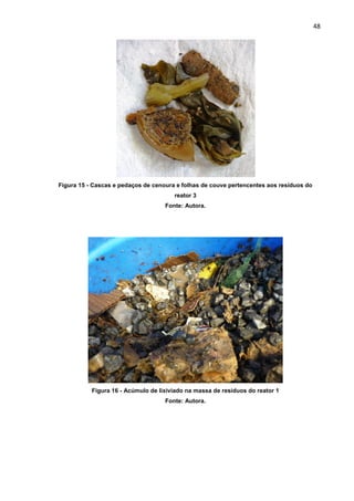48
Figura 15 - Cascas e pedaços de cenoura e folhas de couve pertencentes aos resíduos do
reator 3
Fonte: Autora.
Figura 16 - Acúmulo de lixiviado na massa de resíduos do reator 1
Fonte: Autora.
 