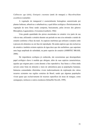Callinectes spp (siris), Goniopsis cruentata (aratú do mangue) e Macrobrachium
acanthurus (camarão).
         A vegetação do manguezal é essencialmente homogênea caracterizada por
plantas lenhosas, arbustivas e subarbustivas, a qual difere ecológica e floristicamente da
vegetação de terra firme sendo composta, basicamente, pelas árvores dos gêneros
Rhizophora, Laguncularia e Avicennia (Lamberti, 1966)
         Uma grande quantidade dos peixes encontrados no estuário vive parte de sua
vida no mar, utilizando o estuário durante um período no ano e/ou entrando e saindo do
estuário conforme o fluxo da maré. As espécies marítimas que utilizam o estuário estão
à procura de alimentos ou em fase de reprodução. Há ainda espécies que são exclusivas
do estuário e também existem espécies de água doce que são eurihalinos, que suportam
uma larga amplitude de salinidade, na parte superior do estuário (AMBITEC BRASIL
2008).
         De importância ecológica já conhecida, são ecossistemas que desempenham
papel ecológico chave à medida que abrigam, além de suas espécies características,
aquelas que migram para a costa durante a fase reprodutiva. Sua fauna e a flora ainda
servem como fonte de alimento e meio de subsistência para as populações humanas.
Inúmeras comunidades ribeirinhas vivem tradicionalmente da exploração dos vários
recursos existentes nas regiões costeiras do Brasil, sendo que algumas populações
vivem quase que exclusivamente de recursos específicos de áreas de mangue, como
caranguejos, moluscos e outros crustáceos (Schaeffer-Novelli, 1999).




                                                                                       31
 