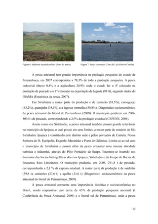 Figura 6: indústria sucroalcooleira (Foto do autor)   Figura 7: Pesca Artesanal (Foto de Luiz Otávio Corrêa)



         A pesca artesanal tem grande importância na produção pesqueira do estado de
Pernambuco, em 2007 correspondeu a 78,3% de toda a produção pesqueira. A pesca
industrial obteve 0,8% e a aqüicultura 20,9% onde o estado foi o 4º colocado na
produção de pescado e o 1º colocado na exportação da lagosta (881t), segundo dados do
IBAMA (Estatística da pesca, 2007).
         Em Sirinhaém a maior parte da produção é de camarão (58,5%), caranguejo
(45,2%), guarajuba (38,5%) e a lagosta vermelha (30,8%), Diagnóstico socioeconômico
da pesca artesanal do litoral de Pernambuco (2009). O município produziu em 2006,
409,5 t de pescado, correspondendo a 2,9% da produção estadual (CEPENE, 2006).
         Assim como em Sirinhaém, a pesca artesanal também possui grande relevância
no município de Ipojuca, o qual possui em seus limites, a maior parte do estuário do Rio
Sirinhaém. Ipojuca é constituído pelo distrito sede e pelos povoados de Camela, Nossa
Senhora do Ó, Rurópolis, Engenho Maranhão e Porto de Galinhas. Limita-se ao sul com
o município de Sirinhaém e possui além da pesca artesanal uma intensa atividade
turística e industrial, através do Pólo Portuário de Suape. Encontra-se inserido nos
domínios das bacias hidrográficas dos rios Ipojuca, Sirinhaém e do Grupo de Bacias de
Pequenos Rios Litorâneos. O município produziu, em 2006, 291,8 t de pescado,
correspondendo a 2,1 % da captura estadual. A maior parte da produção é de sardinha
(39,8 t), camarões (27,6 t) e agulha (23,6 t) (Diagnóstico socioeconômico da pesca
artesanal do litoral de Pernambuco, 2009).
         A pesca artesanal apresenta uma importância histórica e socioeconômica no
Brasil, sendo responsável por cerca de 65% da produção pesqueira nacional (I
Conferência da Pesca Artesanal, 2009) e o litoral sul de Pernambuco, onde a pesca



                                                                                                          39
 