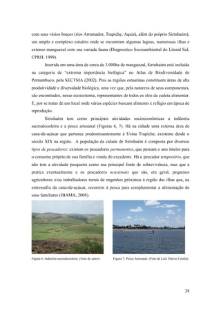 com seus vários braços (rios Arrumador, Trapiche, Aquirá, além do próprio Sirinhaém),
um amplo e complexo estuário onde se encontram algumas lagoas, numerosas ilhas e
extenso manguezal com sua variada fauna (Diagnostico Socioambiental do Litoral Sul,
CPRH, 1999).
          Inserida em uma área de cerca de 3.000ha de manguezal, Sirinhaém está incluída
na categoria de “extrema importância biológica” no Atlas de Biodiversidade de
Pernambuco, pela SECTMA (2002). Pois as regiões estuarinas constituem áreas de alta
produtividade e diversidade biológica, uma vez que, pela natureza de seus componentes,
são encontrados, nesse ecossistema, representantes de todos os elos da cadeia alimentar.
E, por se tratar de um local onde várias espécies buscam alimento e refúgio em época de
reprodução.
          Sirinhaém tem como principais atividades socioeconômicas a indústria
sucroalcooleira e a pesca artesanal (Figuras 6, 7). Há na cidade uma extensa área de
cana-de-açúcar que pertence predominantemente à Usina Trapiche, existente desde o
século XIX na região. A população da cidade de Sirinhaém é composta por diversos
tipos de pescadores: existem os pescadores permanentes, que pescam o ano inteiro para
o consumo próprio de sua família e venda do excedente. Há o pescador temporário, que
não tem a atividade pesqueira como sua principal fonte de sobrevivência, mas que a
pratica eventualmente e os pescadores ocasionais que são, em geral, pequenos
agricultores e/ou trabalhadores rurais de engenhos próximos à região das ilhas que, na
entressafra da cana-de-açúcar, recorrem à pesca para complementar a alimentação de
seus familiares (IBAMA, 2008).




Figura 6: Indústria sucroalcooleira. (Foto do autor).   Figura 7: Pesca Artesanal. (Foto de Luiz Otávio Corrêa).




                                                                                                             38
 