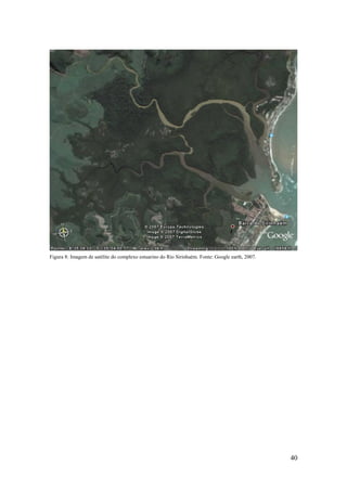 Figura 8: Imagem de satélite do complexo estuarino do Rio Sirinhaém. Fonte: Google earth, 2007.




                                                                                                  40
 
