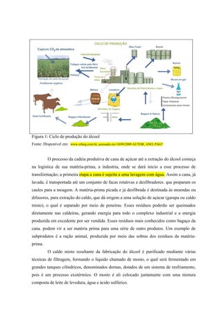 Figura 1: Ciclo de produção do álcool
Fonte: Disponível em: www.sifaeg.com.br, acessado em 10/09/2009 AUTOR, ANO, PAG?


         O processo da cadeia produtiva de cana de açúcar até a extração do álcool começa
na logística de sua matéria-prima, a industria, onde se dará inicio a esse processo de
transformação; a primeira etapa a cana é sujeita a uma lavagem com água. Assim a cana, já
lavada, é transportada até um conjunto de facas rotativas e desfibradores. que preparam os
caules para a moagem. A matéria-prima picada e já desfibrada é destinada às moendas ou
difusores, para extração do caldo, que dá origem a uma solução de açúcar (garapa ou caldo
misto), o qual é separado por meio de peneiras. Esses resíduos poderão ser queimados
diretamente nas caldeiras, gerando energia para todo o complexo industrial e a energia
produzida em excedente por ser vendida. Esses resíduos mais conhecidos como bagaço da
cana. podem vir a ser matéria prima para uma série de outro produtos. Um exemplo de
subprodutos é a ração animal, produzida por meio das sobras dos resíduos da matéria-
prima.
         O caldo misto resultante da fabricação do álcool é purificado mediante várias
técnicas de filtragem, formando o líquido chamado de mosto, o qual será fermentado em
grandes tanques cilíndricos, denominados dornas, dotados de um sistema de resfriamento,
pois é um processo exotérmico. O mosto é ali colocado juntamente com uma mistura
composta de leite de levedura, água e ácido sulfúrico.
 