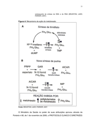 25




                        subsequente da síntese de DNA e de RNA (BRUNTON; LAZO;
                        PARKER; 2007).


     Figura 4: Mecanismo de ação do metotrexato.




     Fonte: BRUNTON; LAZO; PARKER, 2007.


     O Ministério da Saúde no poder de suas atribuições aprovou através da
Portaria n 66, de 1 de novembro de 2006, o PROTOCOLO CLINICO E DIRETRIZES
 