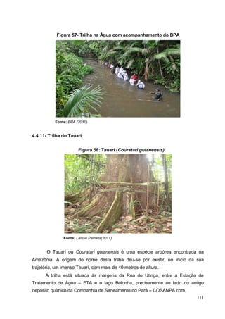 Figura 57- Trilha na Água com acompanhamento do BPA
Fonte: BPA (2010)
4.4.11- Trilha do Tauari
Figura 58: Tauarí (Couratari guianensis)
Fonte: Laisse Palheta(2011)
O Tauarí ou Couratari guianensis é uma espécie arbórea encontrada na
Amazônia. A origem do nome desta trilha deu-se por existir, no inicio da sua
trajetória, um imenso Tauarí, com mais de 40 metros de altura.
A trilha está situada às margens da Rua do Utinga, entre a Estação de
Tratamento de Água – ETA e o lago Bolonha, precisamente ao lado do antigo
depósito químico da Companhia de Saneamento do Pará – COSANPA com,
111
 