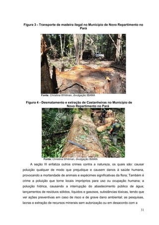 Figura 3 - Transporte de madeira ilegal no Município de Novo Repartimento no
Pará
Fonte: Christina Whitman, divulgação IBAMA
Figura 4 - Desmatamento e extração de Castanheiras no Município de
Novo Repartimento no Pará
Fonte: Christina Whitman, divulgação IBAMA
A seção III enfatiza outros crimes contra a natureza, os quais são: causar
poluição qualquer de modo que prejudique e causem danos à saúde humana,
provocando a mortandade de animais e espécimes significativas da flora; Também é
crime a poluição que torne locais impróprios para uso ou ocupação humana; a
poluição hídrica, causando a interrupção do abastecimento público de água;
lançamentos de resíduos sólidos, líquidos e gasosos, substâncias tóxicas, tendo que
ver ações preventivas em caso de risco e de grave dano ambiental; as pesquisas,
lavras e extração de recursos minerais sem autorização ou em desacordo com a
31
 