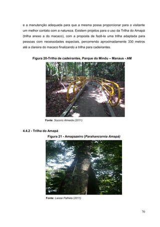 e a manutenção adequada para que a mesma possa proporcionar para o visitante
um melhor contato com a natureza. Existem projetos para o uso da Trilha do Amapá
(trilha anexo a do macaco), com a proposta de fazê-la uma trilha adaptada para
pessoas com necessidades especiais, percorrendo aproximadamente 330 metros
até a clareira do macaco finalizando a trilha para cadeirantes.
Figura 20-Trilha de cadeirantes, Parque do Mindu – Manaus - AM
Fonte: Socorro Almeida (2011)
4.4.2 - Trilha do Amapá
Figura 21 - Amapazeiro (Parahancornia Amapá)
Fonte: Laisse Palheta (2011)
70
 