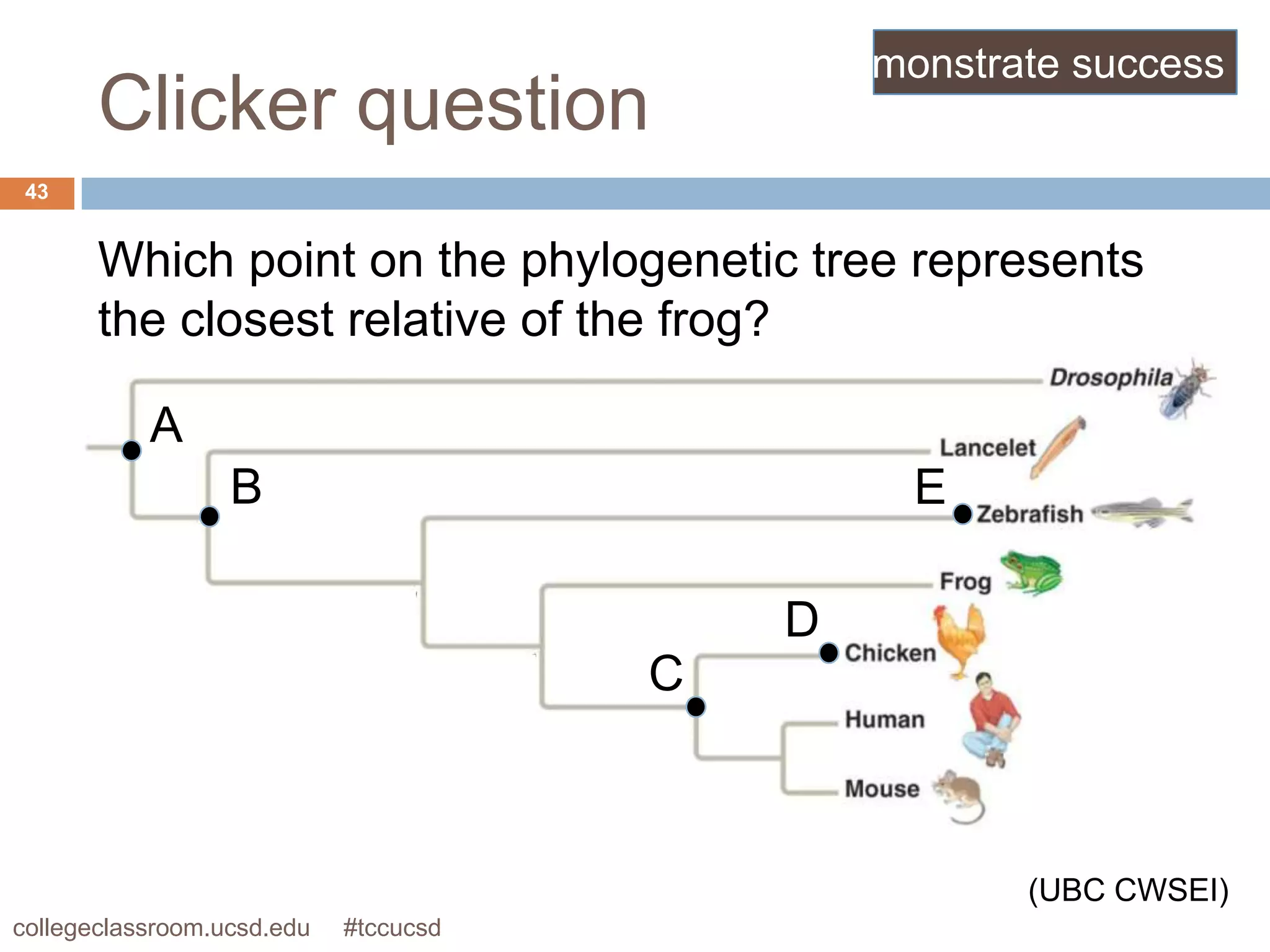 demonstrate success
       Clicker question
 43


       Which point on the phylogenetic tree represents
       the closest relative of the frog?

           A
                  B                                E

                                           D
                                       C



                                                        (UBC CWSEI)
collegeclassroom.ucsd.edu   #tccucsd
 